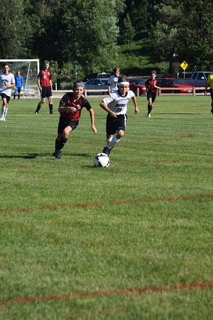 辽宁女排的 辽宁女排的