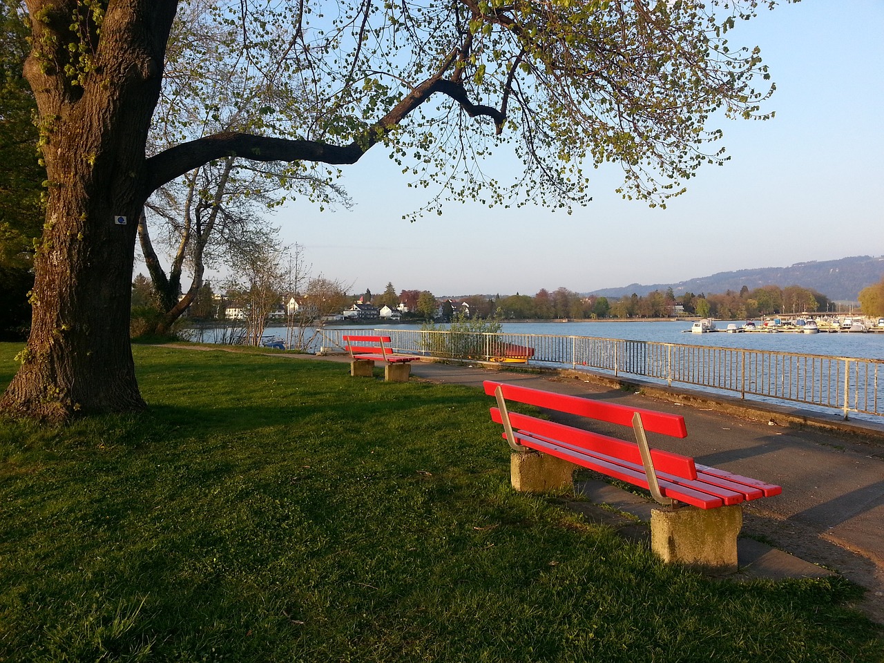 因为这是全 因为这是全