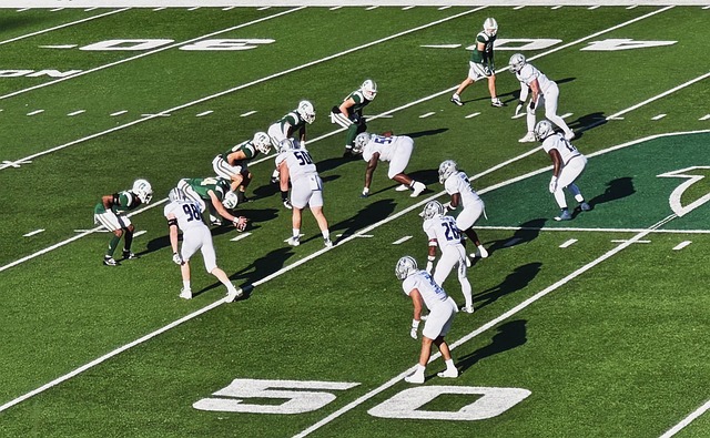 来一直致力 来一直致力